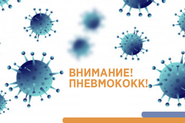 Фотография к новости Внимание, пневмококк!