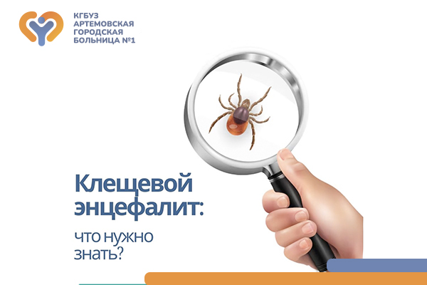 Полезная информация об опасном насекомом, которую должен знать каждый! Фотография к новости Полезная информация об опасном насекомом, которую должен знать каждый!