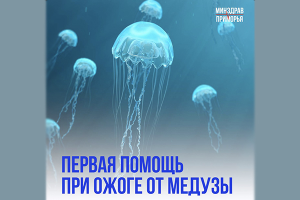 Первая помощь при ожоге от медузы: Как защититься на пляжах Приморья Фотография к новости Первая помощь при ожоге от медузы: Как защититься на пляжах Приморья