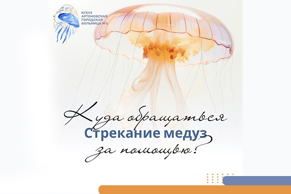 Стрекание медуз: что это такое, какие могут быть симптомы и куда обращаться за помощью Фотография к новости Стрекание медуз: что это такое, какие могут быть симптомы и куда обращаться за помощью