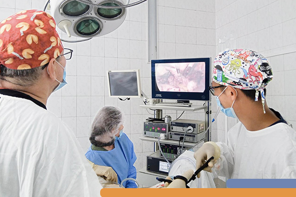 Фотография к новости Врачи-гинекологи провели сложную лапароскопическую гистерэктомию