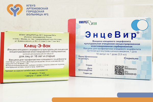 Фотография к новости Вакцинация против клещевого энцефалита по полису ОМС доступна для жителей Артемовского городского округа
