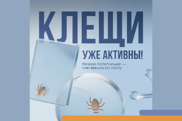 Клещи в Приморье уже активны