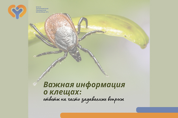 Фотография к новости Важная информация о клещах